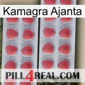Kamagra Ajanta 19